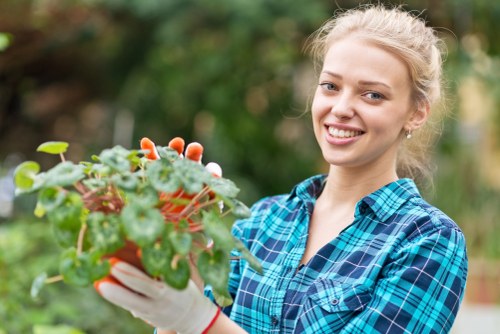 Soft landscaping work in Manorpark with lawn and planting preparation