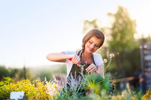 Garden makeover planning and clearance in a Manorpark residential garden