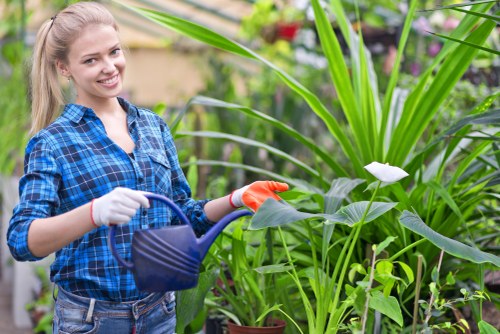 Landscape design ideas for Manorpark homes with greenery and pathways