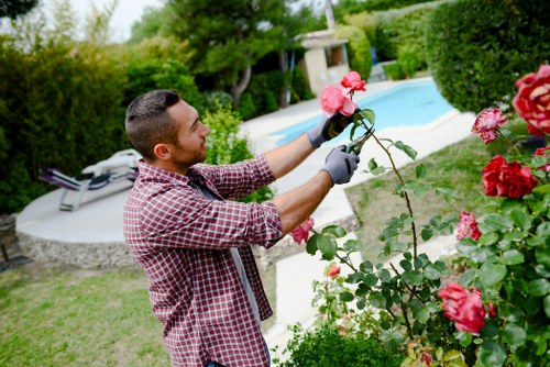 Supervisor reviewing emergency procedures on a landscaping site
