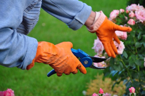 Manorpark landscaping services showing balanced planting and pathways