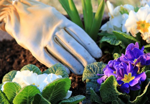 Professional garden lighting installation in Manorpark