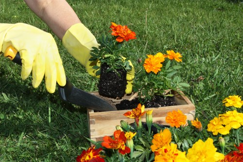 Waste removal and disposal during landscaping services