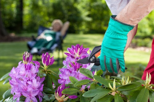 Accessibility support section for Landscaping Manorpark users