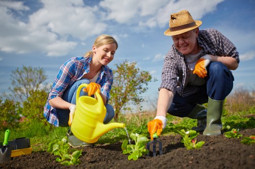 Landscape quotation and site assessment for garden work